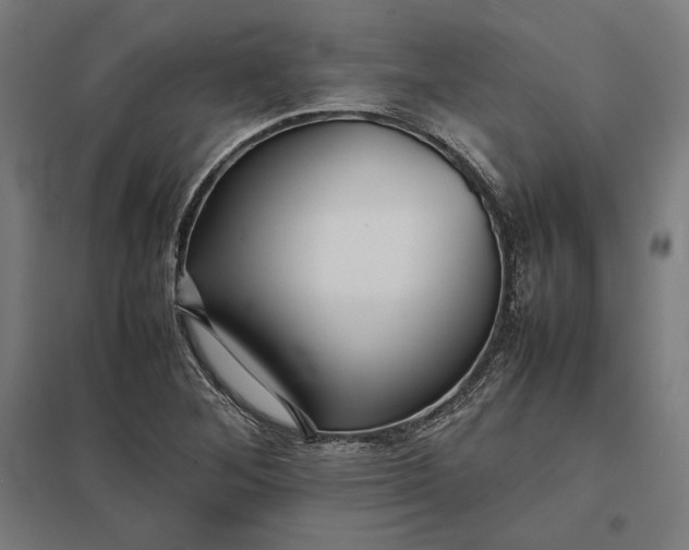 X0000097901268200803281331