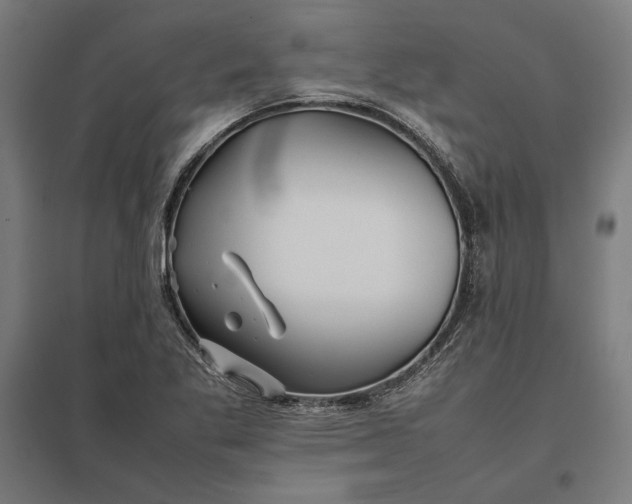 X0000097901269200803281331