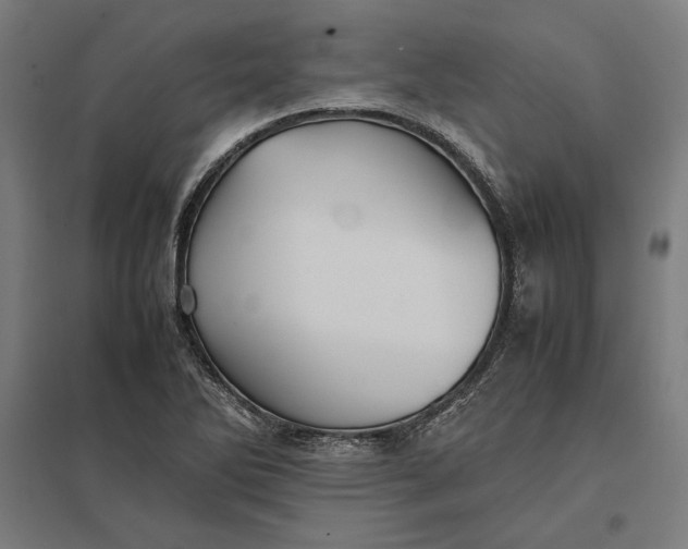 X0000097901270200803281331