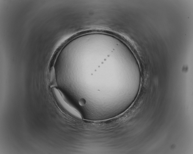 X0000097901271200803281331