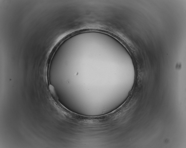 X0000097901272200803281331
