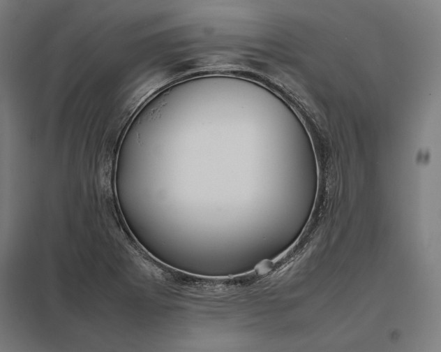 X0000097901273200803281331