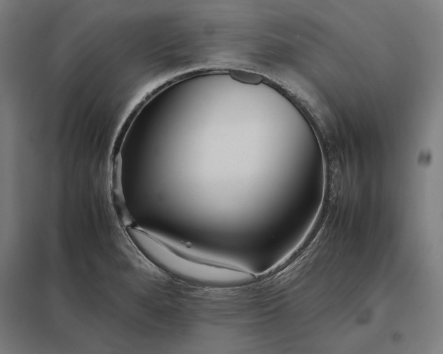 X0000097901280200803281331