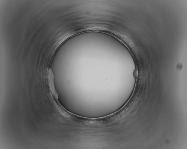 X0000097901281200803281331