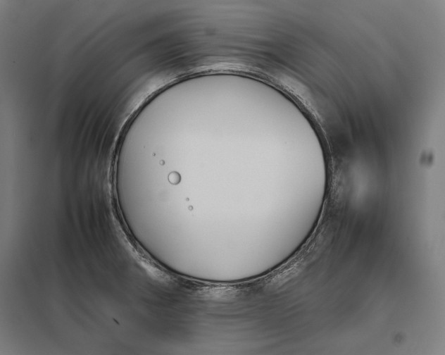 X0000097901282200803281331