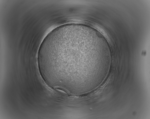 X0000097901283200803281331