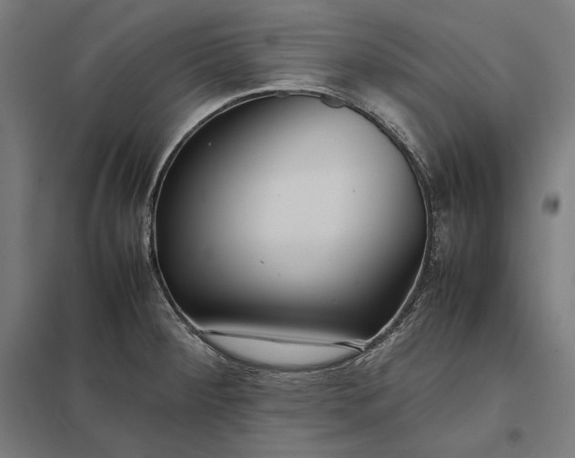 X0000097901284200803281331