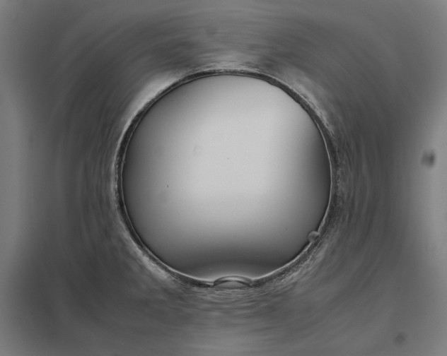 X0000097901285200803281331