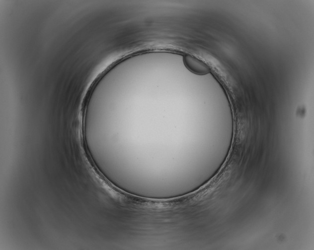 X0000097901286200803281331
