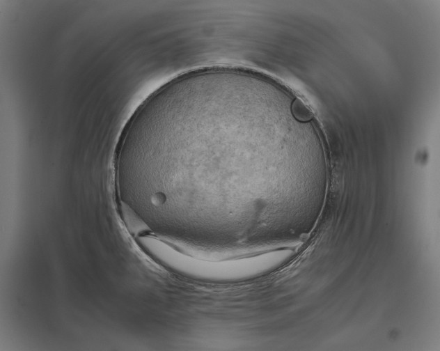 X0000097901287200803281331