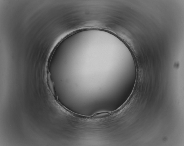 X0000097901288200803281331