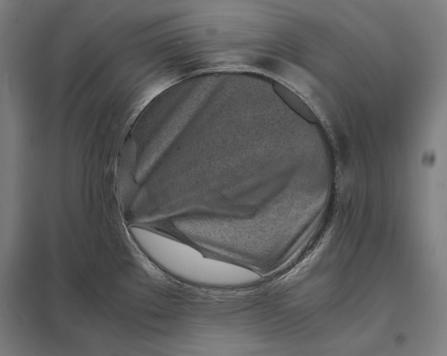 X0000097901289200803281330