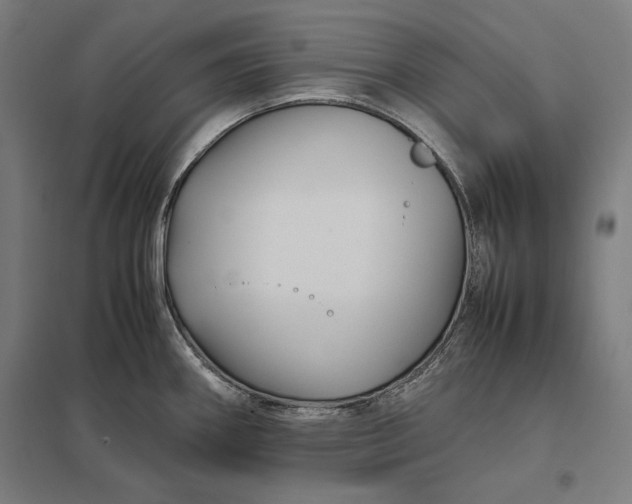 X0000097901290200803281330