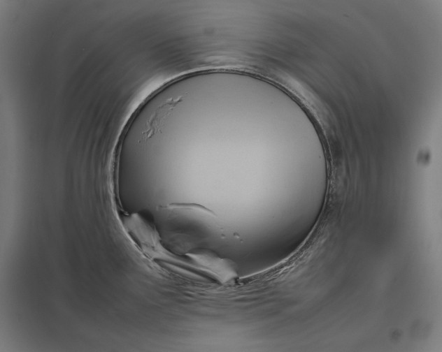 X0000097901291200803281330