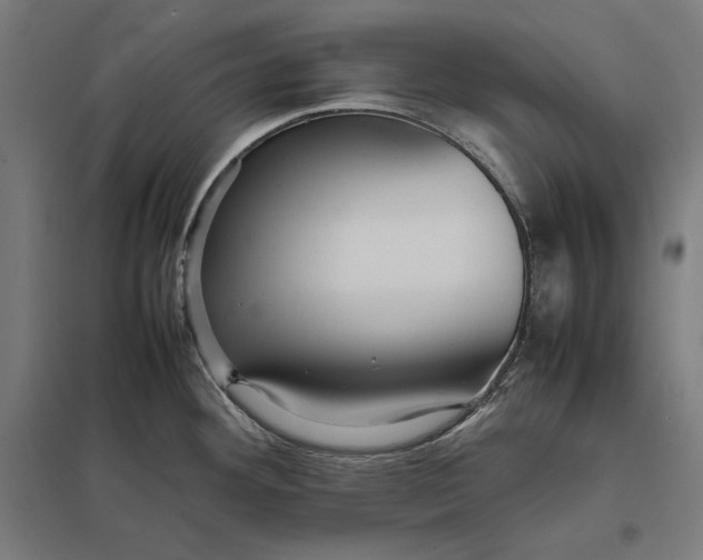 X0000097901292200803281330