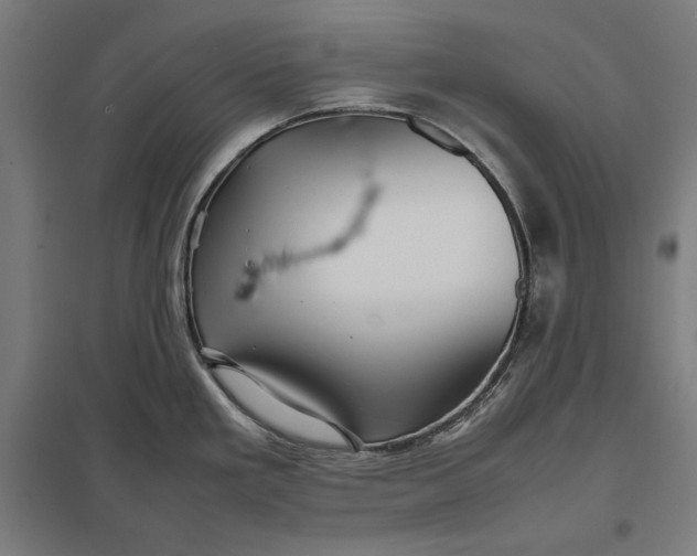 X0000097901293200803281330