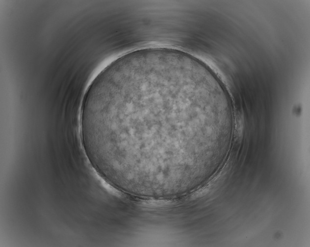 X0000097901294200803281330