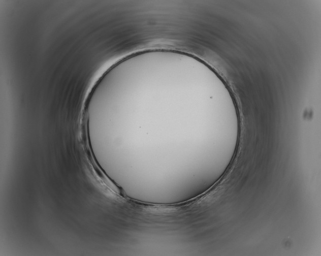 X0000097901296200803281330