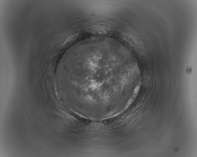 X0000097901297200803281330