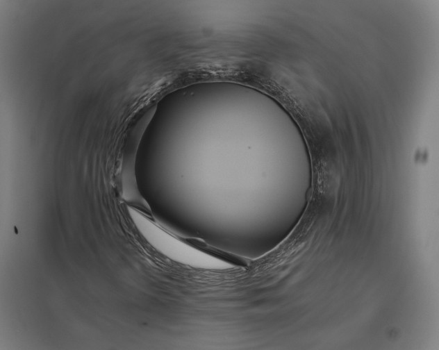 X0000097901298200803281330
