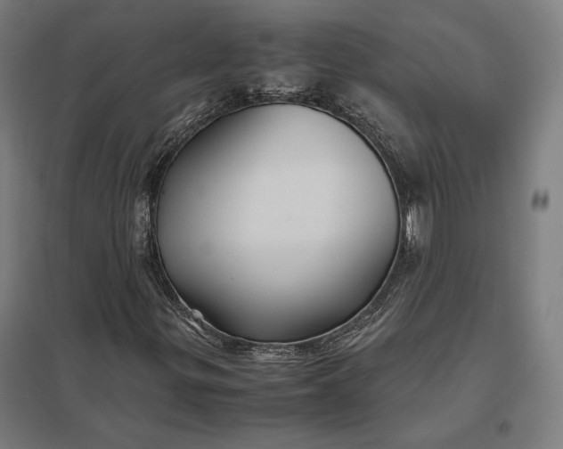 X0000097901299200803281330