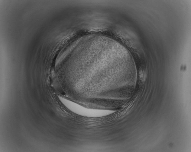 X0000097901300200803281330