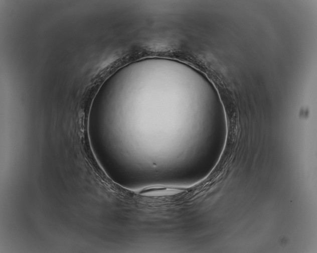 X0000097901301200803281330