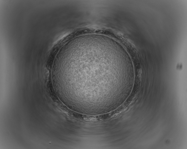 X0000097901302200803281330