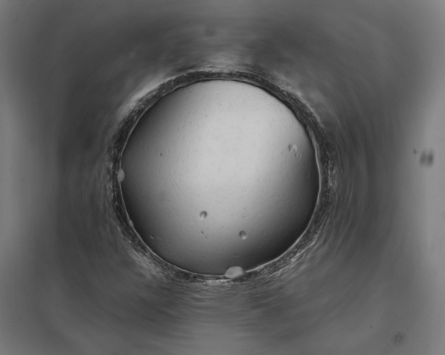 X0000097901304200803281330