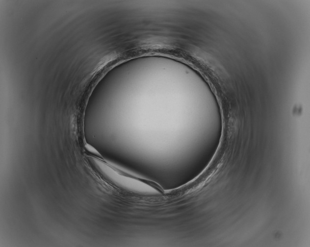 X0000097901305200803281330