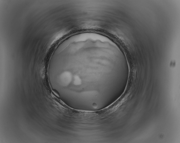 X0000097901306200803281330