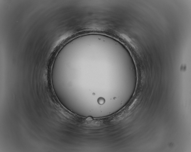 X0000097901307200803281330
