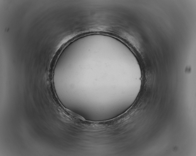 X0000097901308200803281330