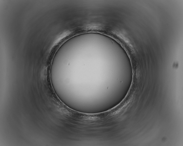 X0000097901309200803281330