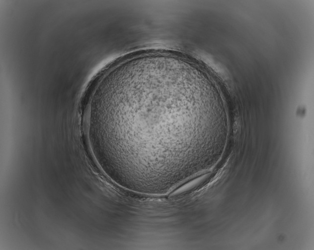 X0000097901310200803281330
