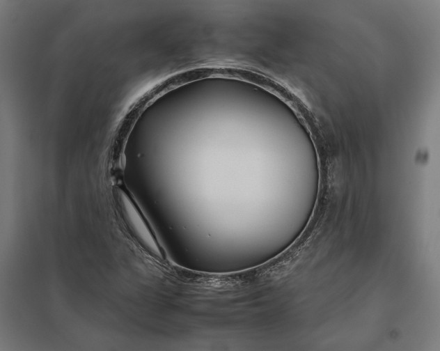X0000097901311200803281330