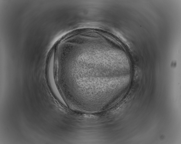 X0000097901312200803281330