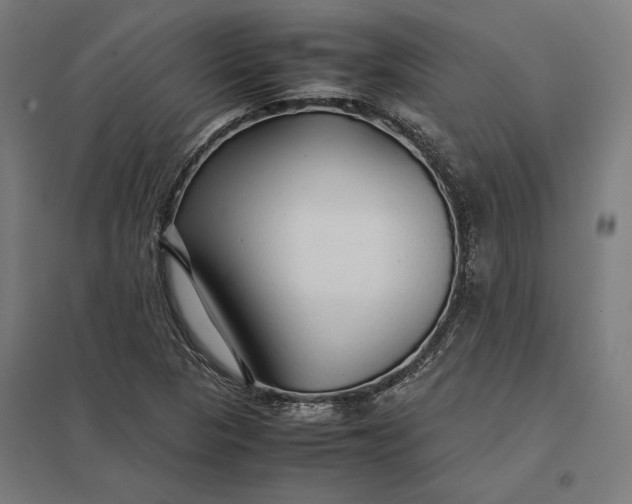 X0000097901313200803281330