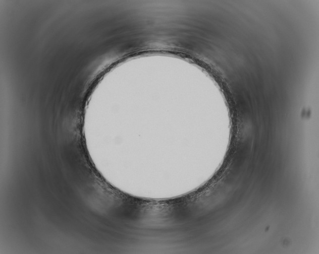 X0000097901314200803281330