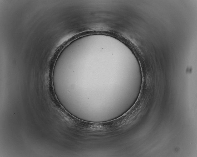 X0000097901315200803281330