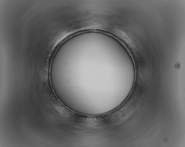 X0000097901316200803281330