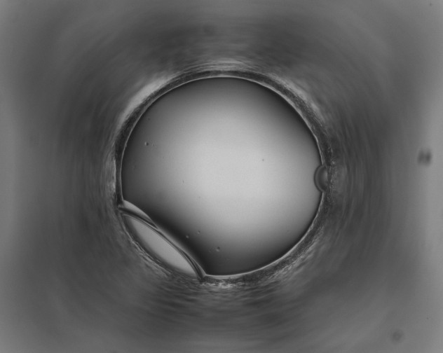 X0000097901317200803281330