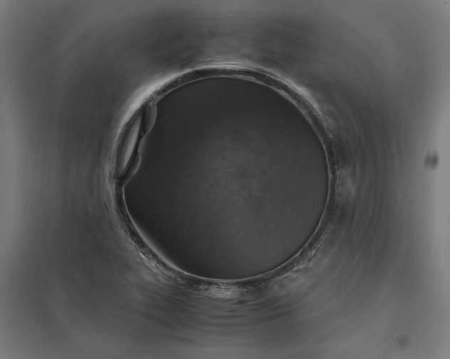 X0000097901319200803281330