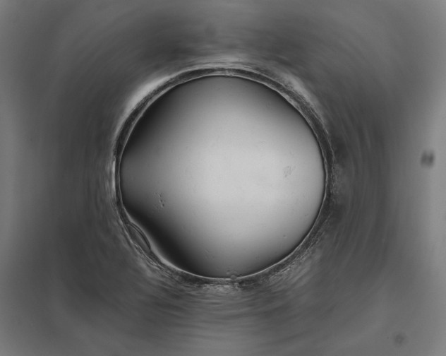X0000097901320200803281330
