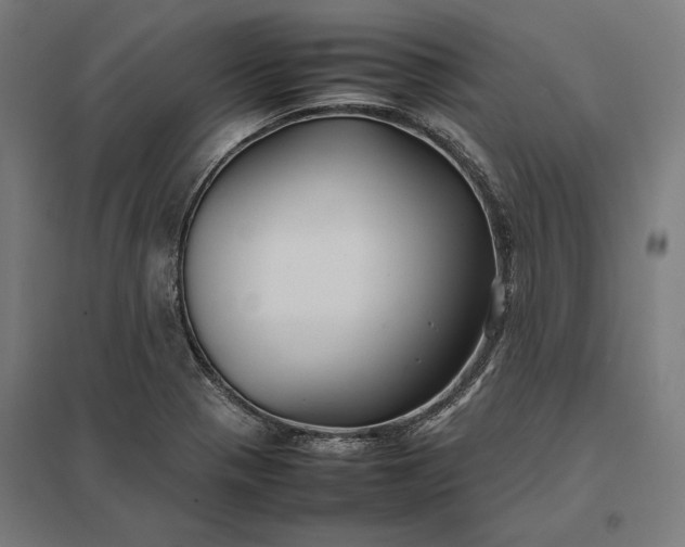 X0000097901321200803281330