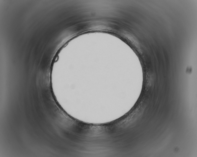 X0000097901322200803281330