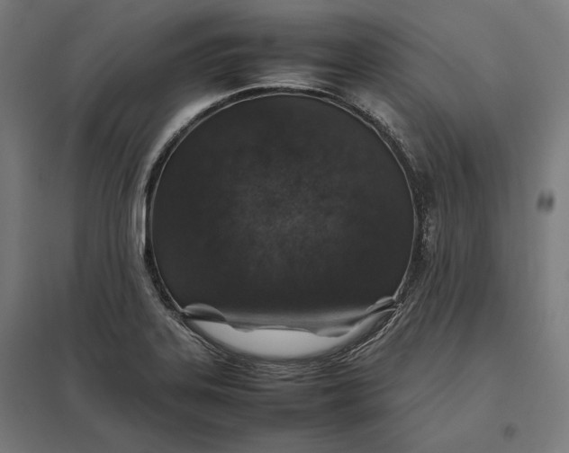 X0000097901323200803281330