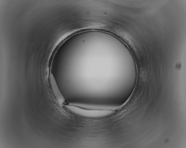 X0000097901324200803281330