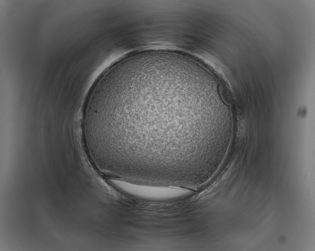 X0000097901325200803281330