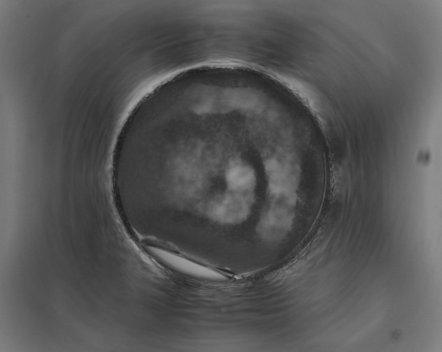 X0000097901327200803281330